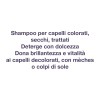 Shampoo Silver Antigiallo 500ml