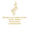 Shampoo Illuminante Semi di Lino 400ml